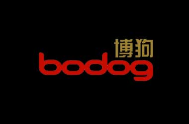 Bodog88 Poker Sites’ Change of Direction