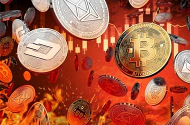 Crypto Blood Bath Not Deterring Players From Crypto Poker Rooms