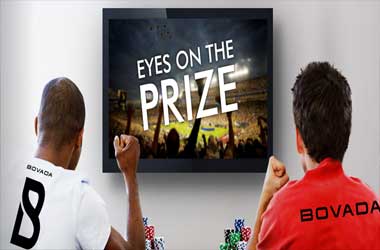 Bovada Poker - The Big Picture Promotion